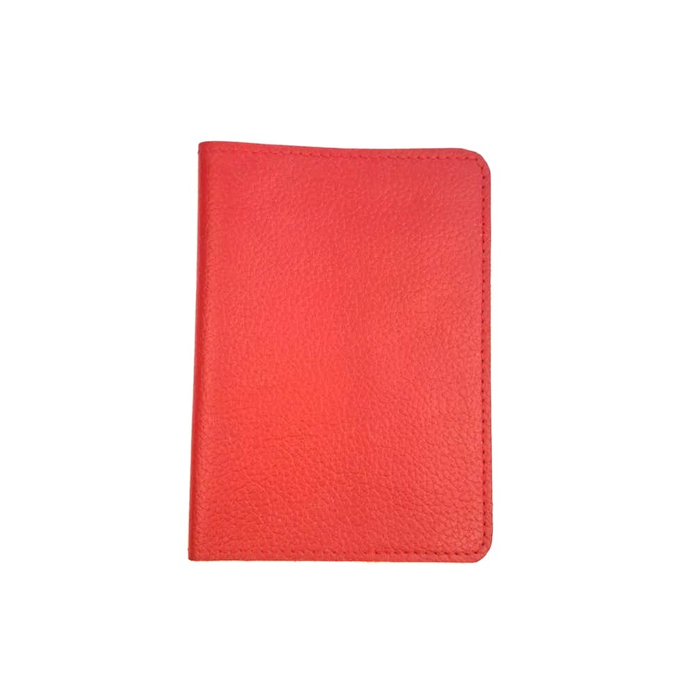 Red Passport Book Cover